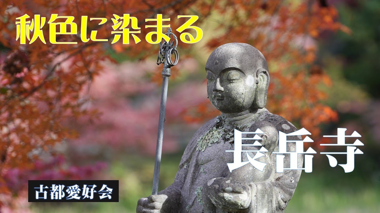 【錦秋に染まる長岳寺】2025「花と文化財」のお寺　長岳寺