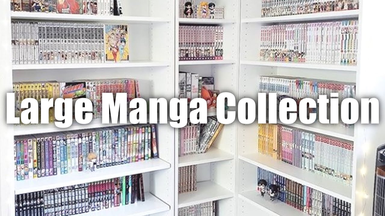My Manga Collection (500+ Volumes)
