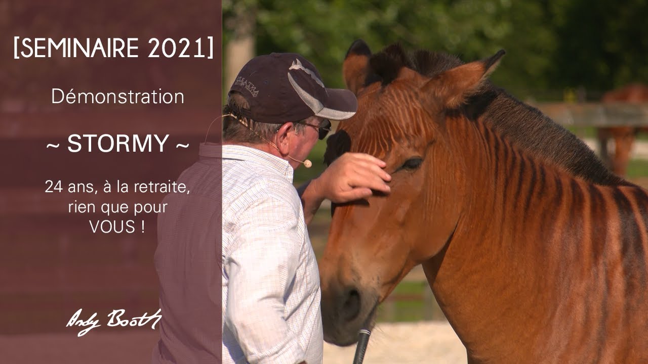 [ Séminaire 2021 ] Stormy : 24 ans, à la retraite, une démo rien que pour vous !