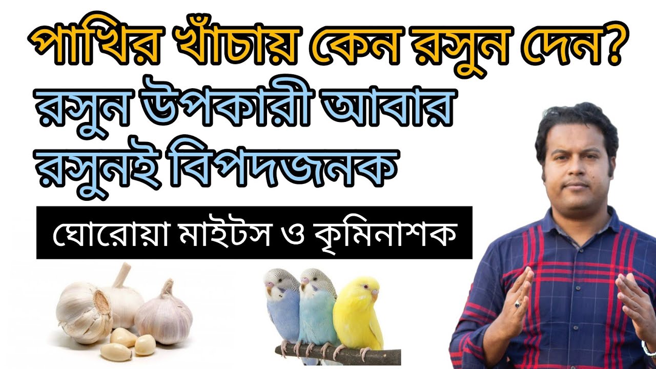 পাখির জন্য রসুন | বাসাতেই তৈরী করুন মাইটস ও কৃমিনাশক | রসুনের আছে অনেক উপকারিতা | ভুল প্রয়োগে বিপদ