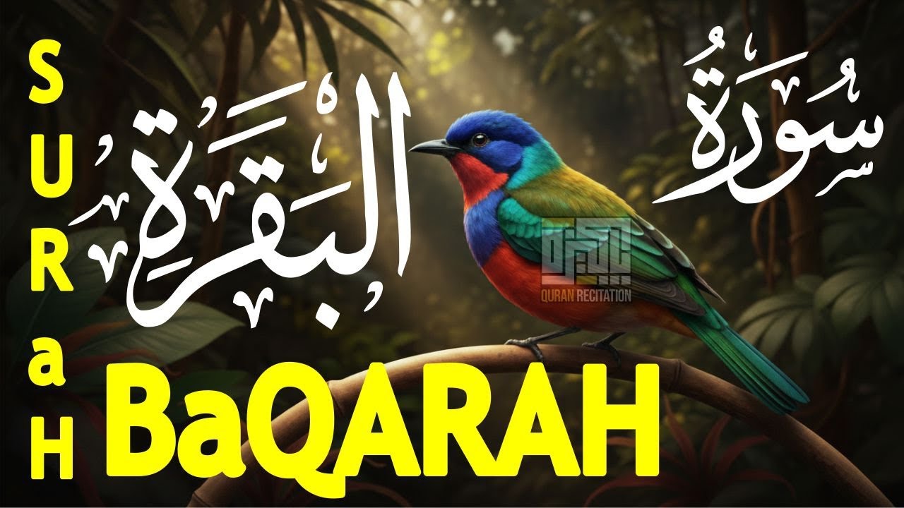 Surah Al-Baqarah | سورۃ البقرہ | Heart Touching and Relaxing Recitation| Pakeeza Quran Recitation