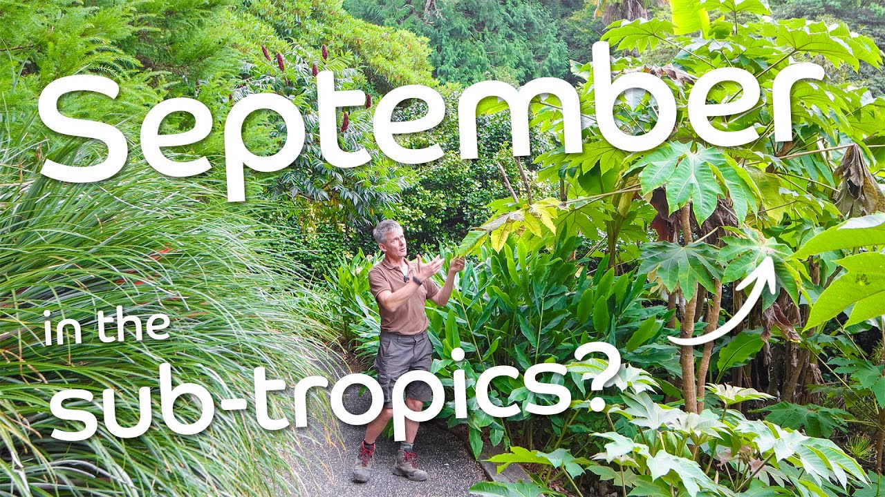 Is Autumn Coming Early? | September At Trebah | Darren's Diary