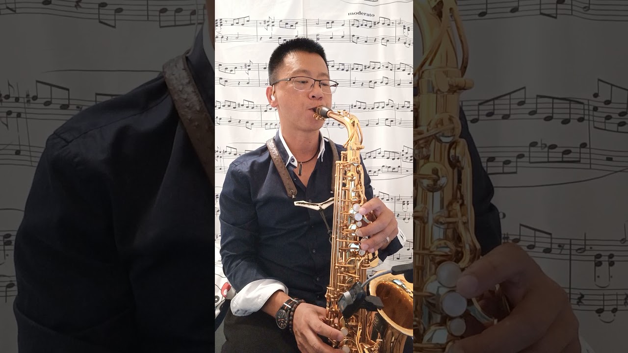 阿偉（SaxWei）薩克斯風演奏-至少還有你
