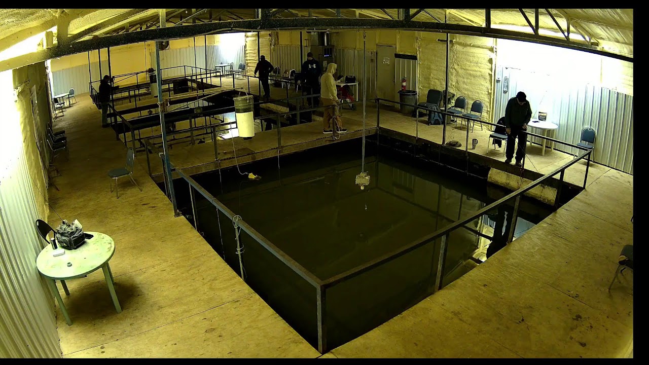 Belle Starr Marina Live