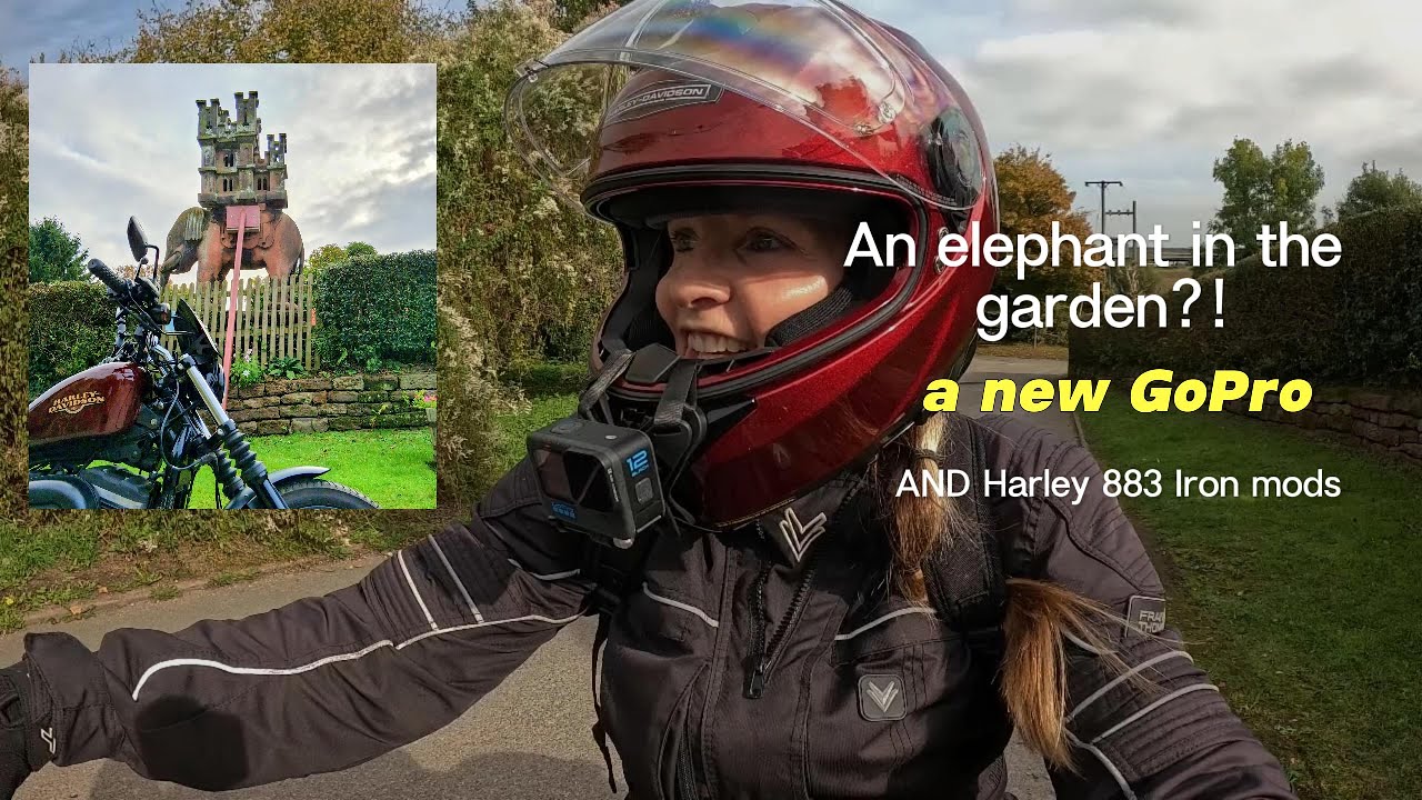 An Elephant in the garden?! A new GoPro AND Harley 883 mods