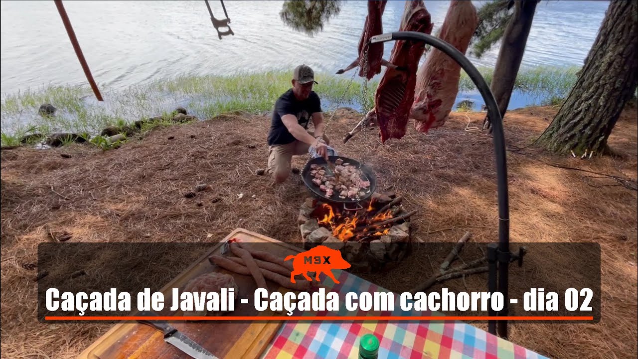 Caçada de javali - Caçada com cachorro dia 02