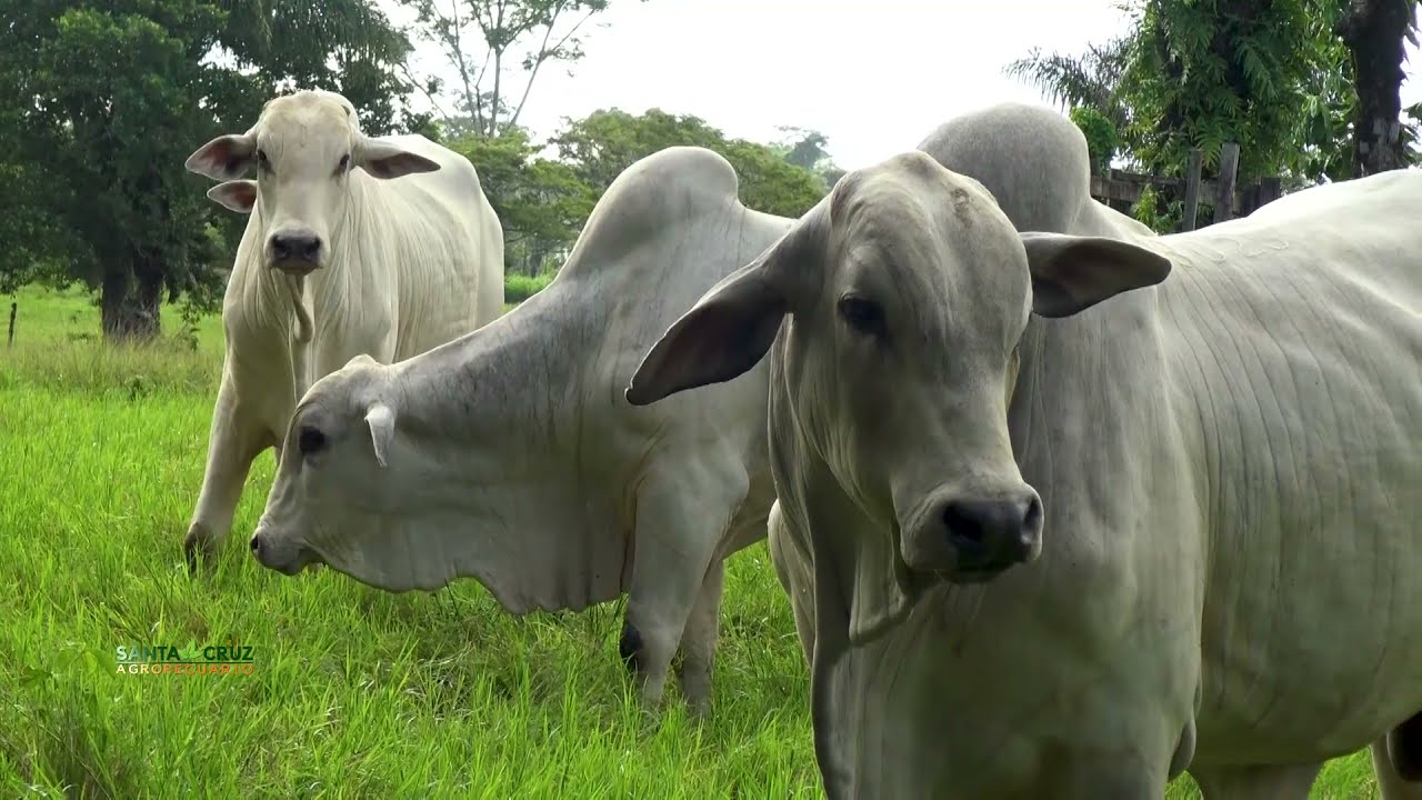 VISITA A LA HACIENDA CAPILLA EN EL BENI