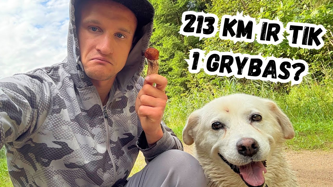 200 km dėl 8 grybų? 🍄 Nuotykiai miške su keturkoju draugu! Sezonas atidarytas