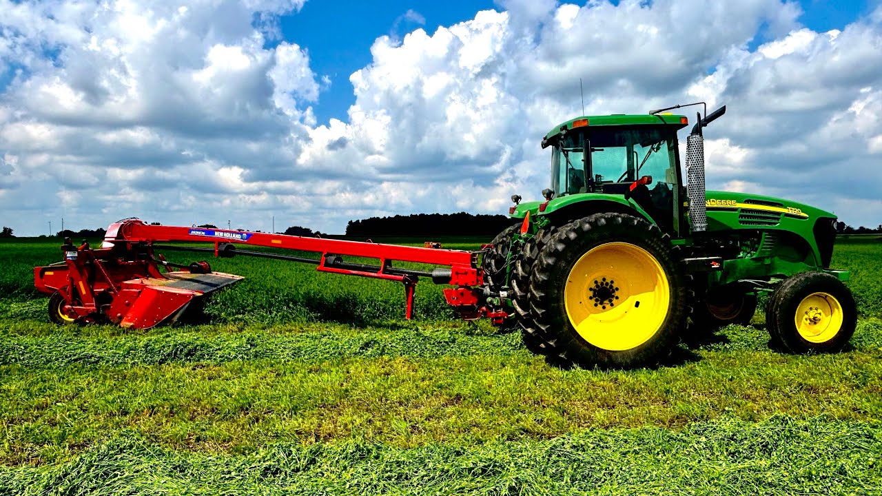 Cutting Prime 3rd Alfalfa 