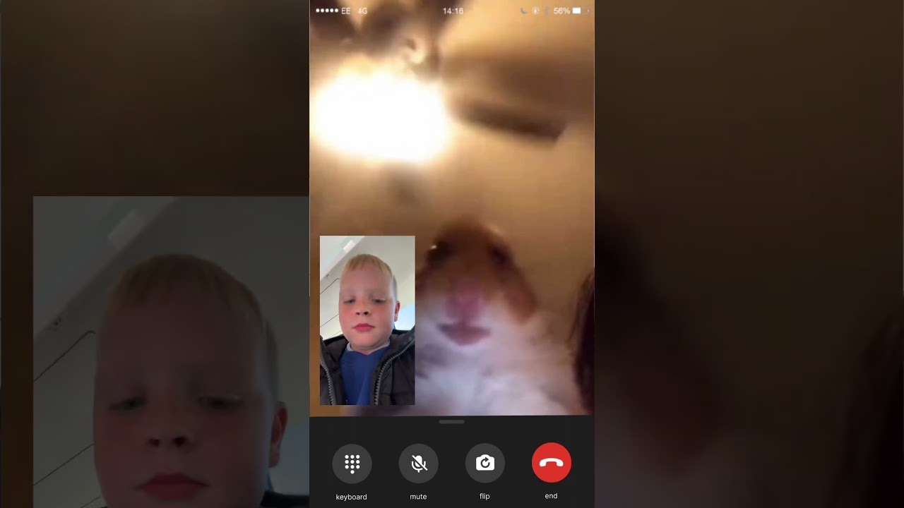 FaceTiming Lolo be like #remix