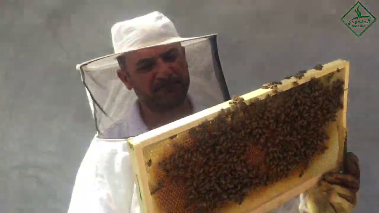 طريقة ديماري