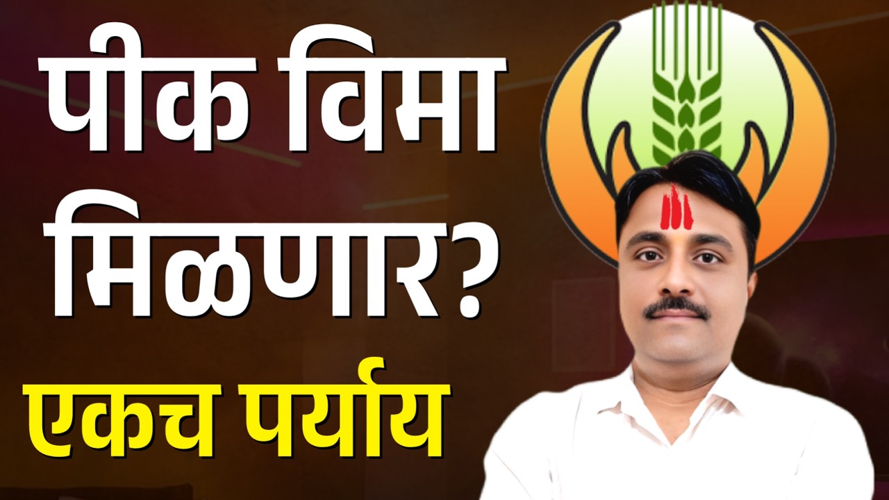 पिक विमा मिळणार? एकच पर्याय! | pik vima 2025