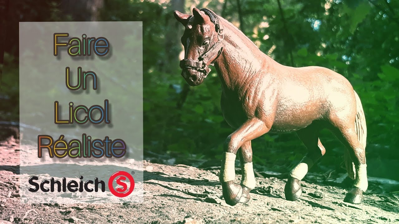 ~Tuto~ Licol Schleich Réaliste