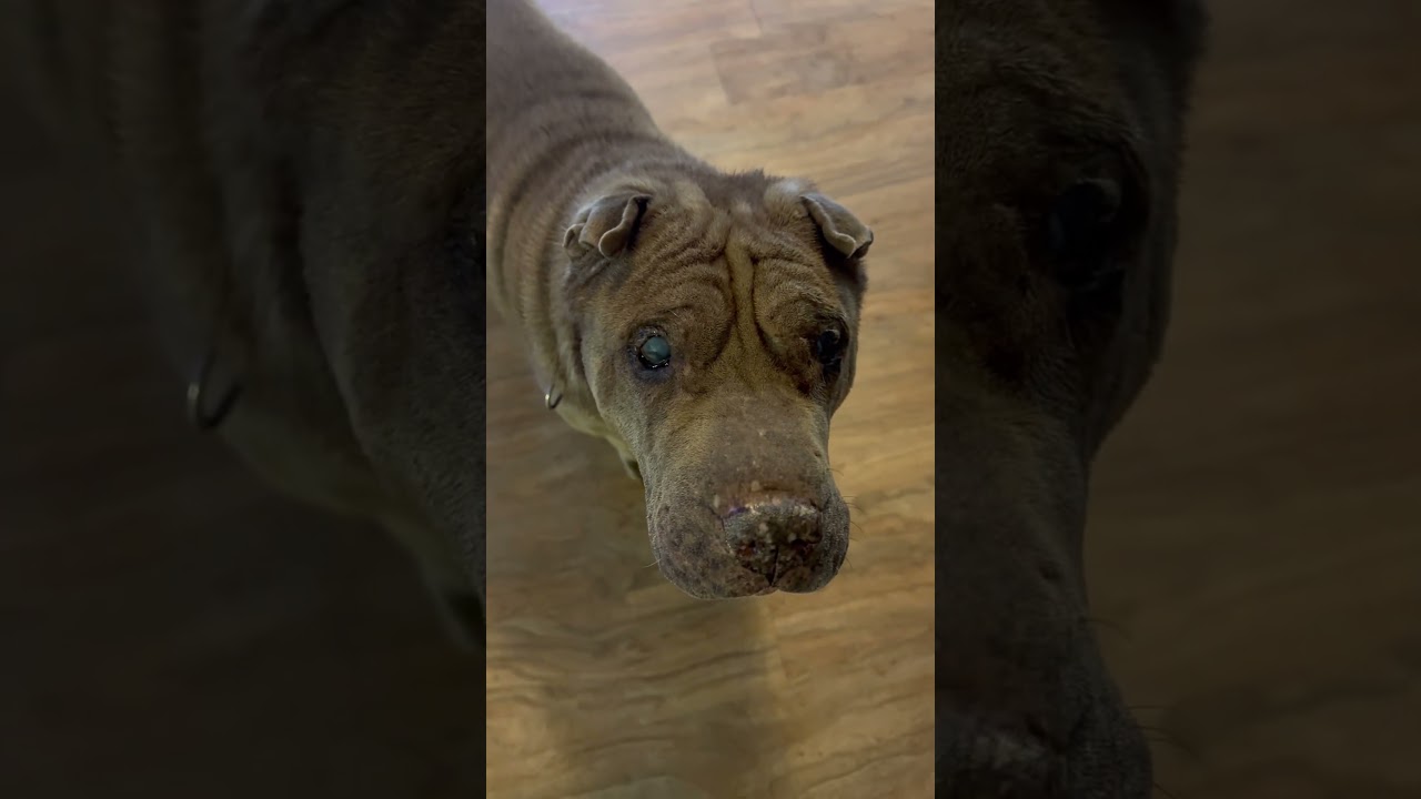 Stay cool my friends! 