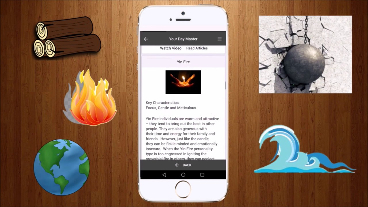 Bazi Profile: Know Yourself To Succeed - PATHS&trade; Mobile App