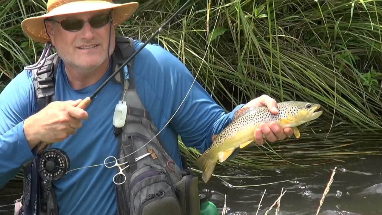 Hopper & Cricket Fly-Fishing in the Driftless