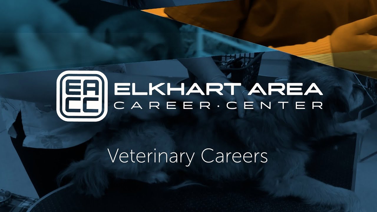Veterinary Careers