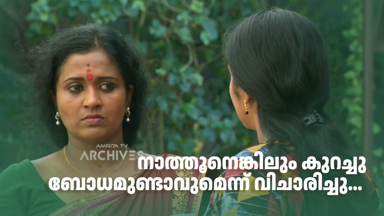നാത്തൂനെങ്കിലും കുറച്ചു ബോധമുണ്ടാവുമെന്ന് വിചാരിച്ചു... | Aliyan vs Aliyan | Sitcom |