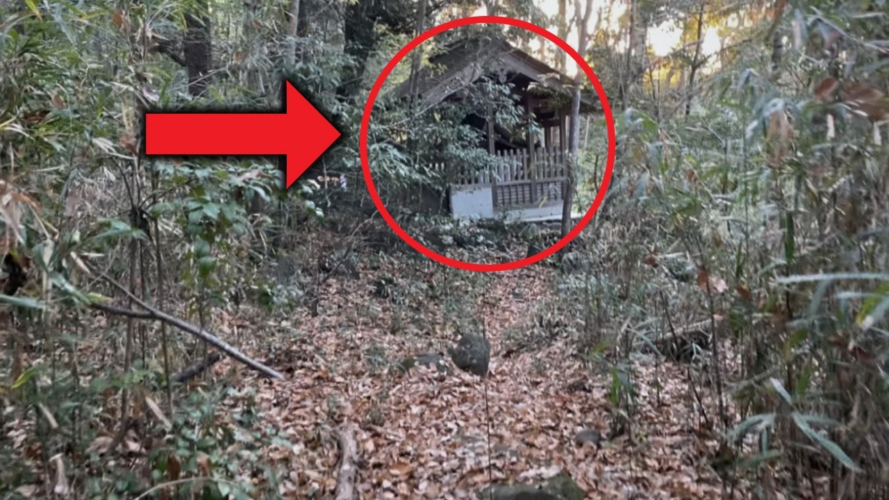 山道の先にあった謎の神社…かわいそうなお話と人間が寿命を持つキッカケとなった神様とは？