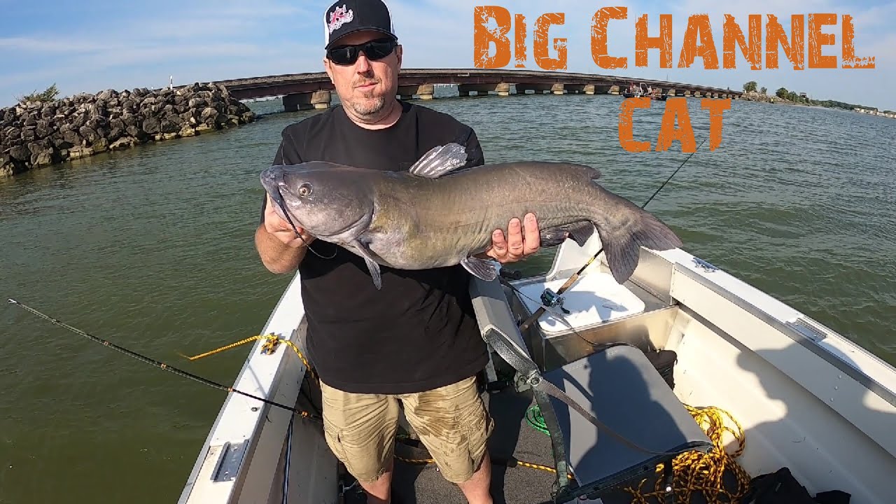 Lake Erie Catfish with captain Shane