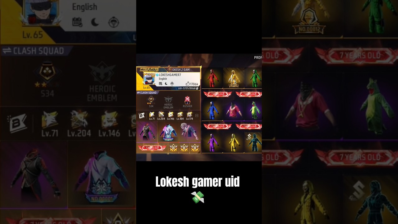diamond king 👑 [lokesh gamer FF uid 