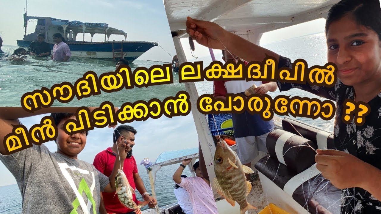 സൗദിയിലെ ലക്ഷദ്വീപിൽ മീൻ പിടിക്കാൻ പോയാലോ farasan island.jizan, abha travel diary part2
