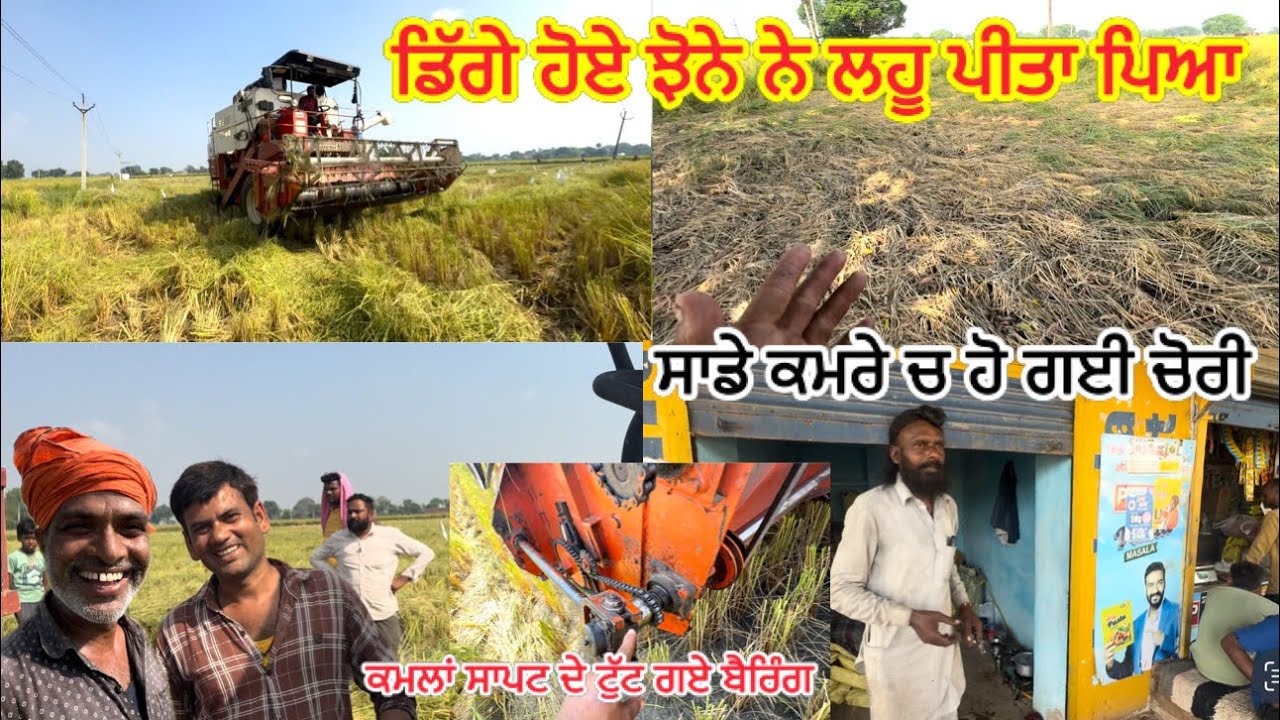 ਕਿੱਵੇ ਰਿਹਾ ਸਾਡਾ ਝੋਨੇ ਤੇ ਦੂਜਾ ਦਿੱਨ // ਹੁੱਣ MP ਚ ਵੀ ਚੱਲ ਪਿਆ ਕੰਮ ਚੋਰੀ ਦਾ // ਜ਼ਿਮੀਦਾਰ ਸਾਰੇ ਖੁਸ ਕਰੇ ਪਏ ਨੇ