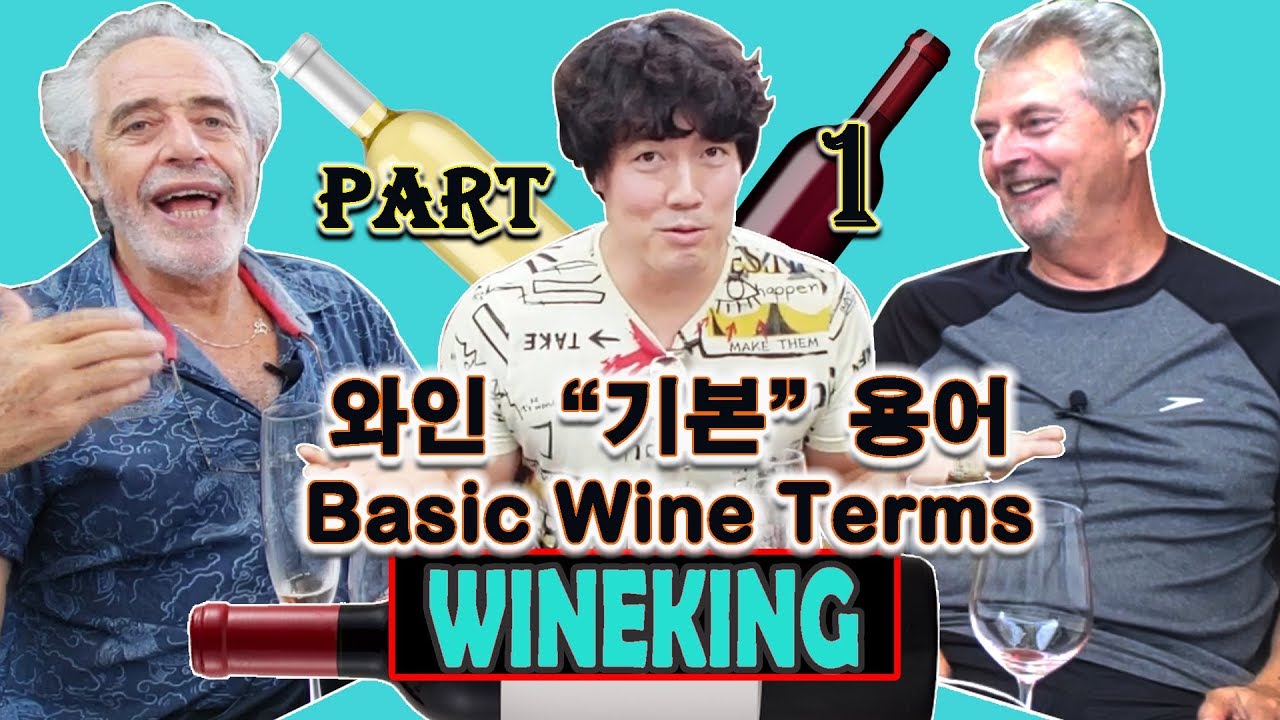 와인 용어! 와인 표현! 와인초보 단어를 아주 기본 ABC부터 설명해 드립니다! 어려워서 배우기 힘들었던 와인 표현들, 이제 소믈리에처럼 와인방송에서 와인배우기!!!