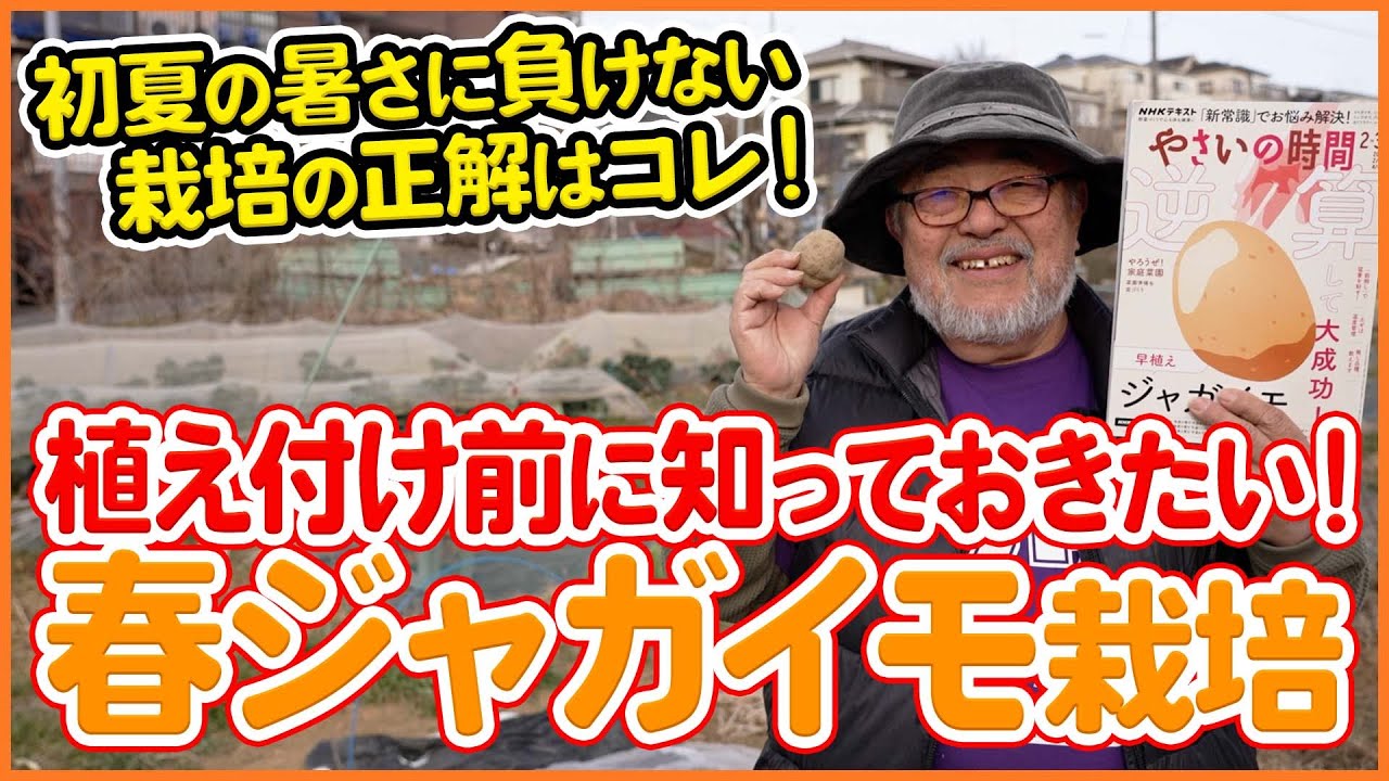 春ジャガイモ栽培のコツ！植え付け前に絶対知っておきたいポイントを徹底解説！【シェア畑】【農園ライフ】