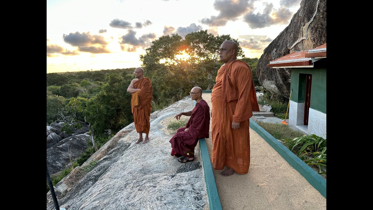 In search of the inner sanctuary, the forest retreats