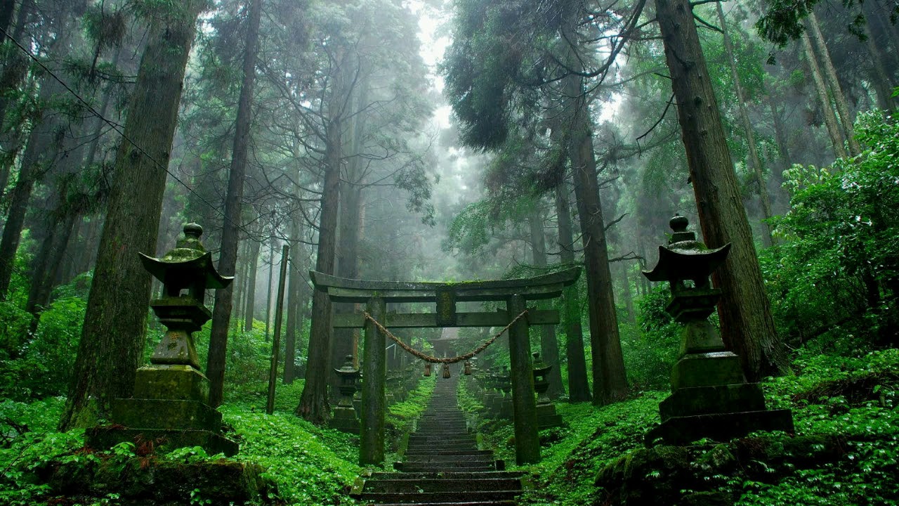 Kiyoshige Koyama: 