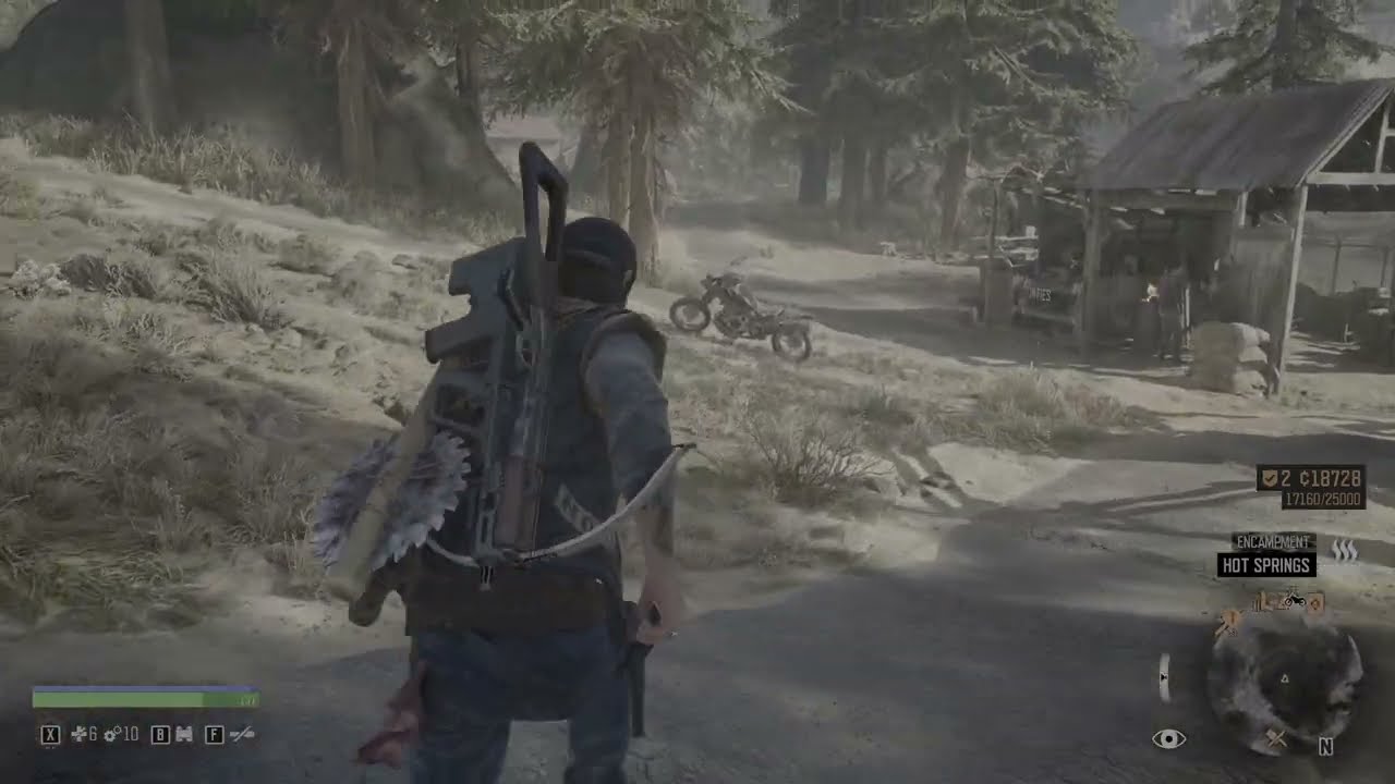 Days Gone