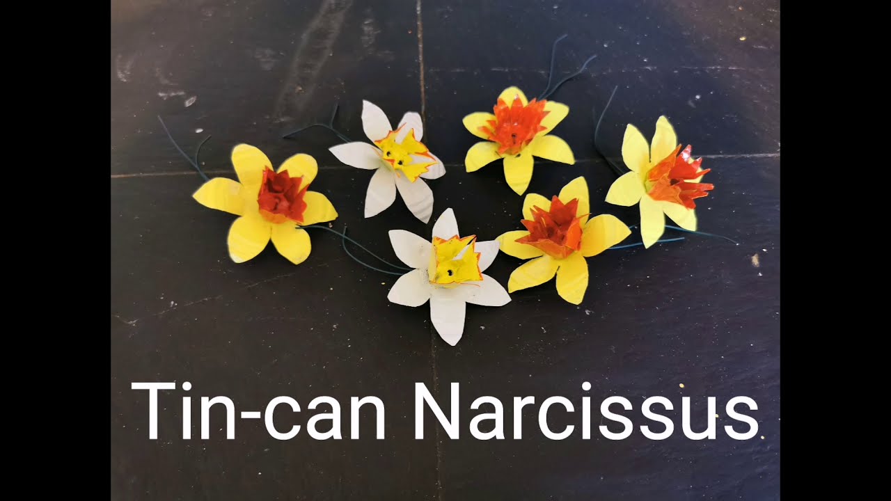 Mini tin-can narcissi - a tutorial (ages 12+)