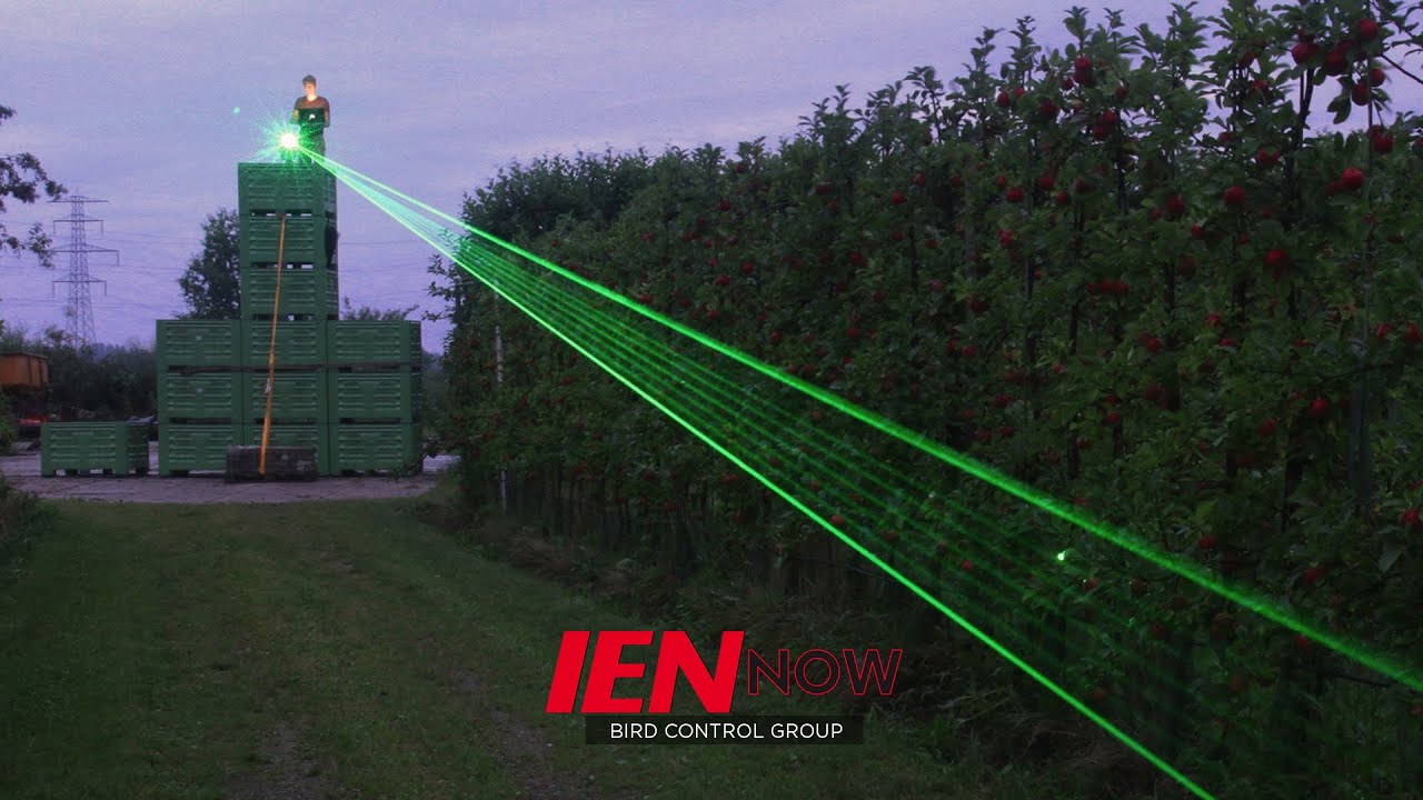 The New Age Scarecrow is a Laser Beam