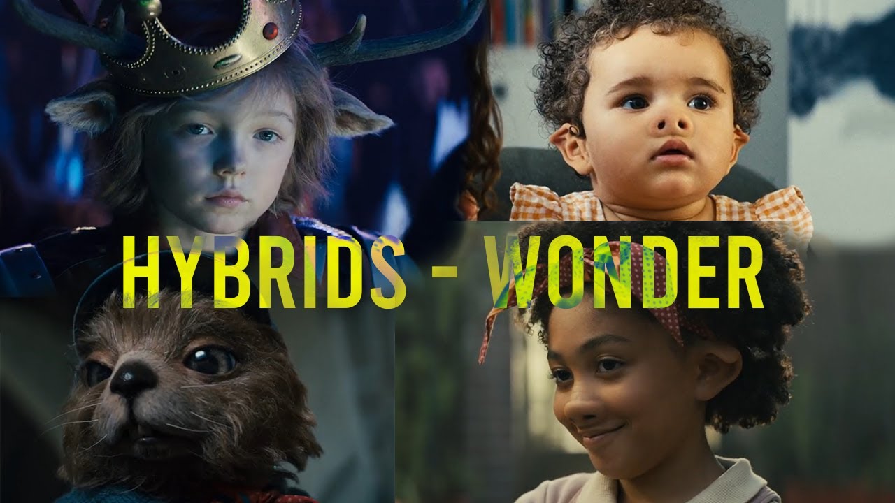 Hybrids | Wonder | Sweet Tooth | Shawn Mendes