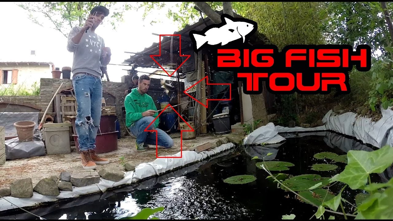 Big fish tour - Bilancino, reali, belly boat, ovo!