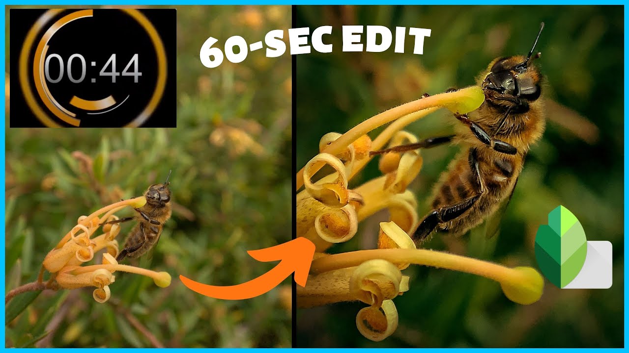 Phone Photo Edit - 6 step edit under 60 sec on your smartphone