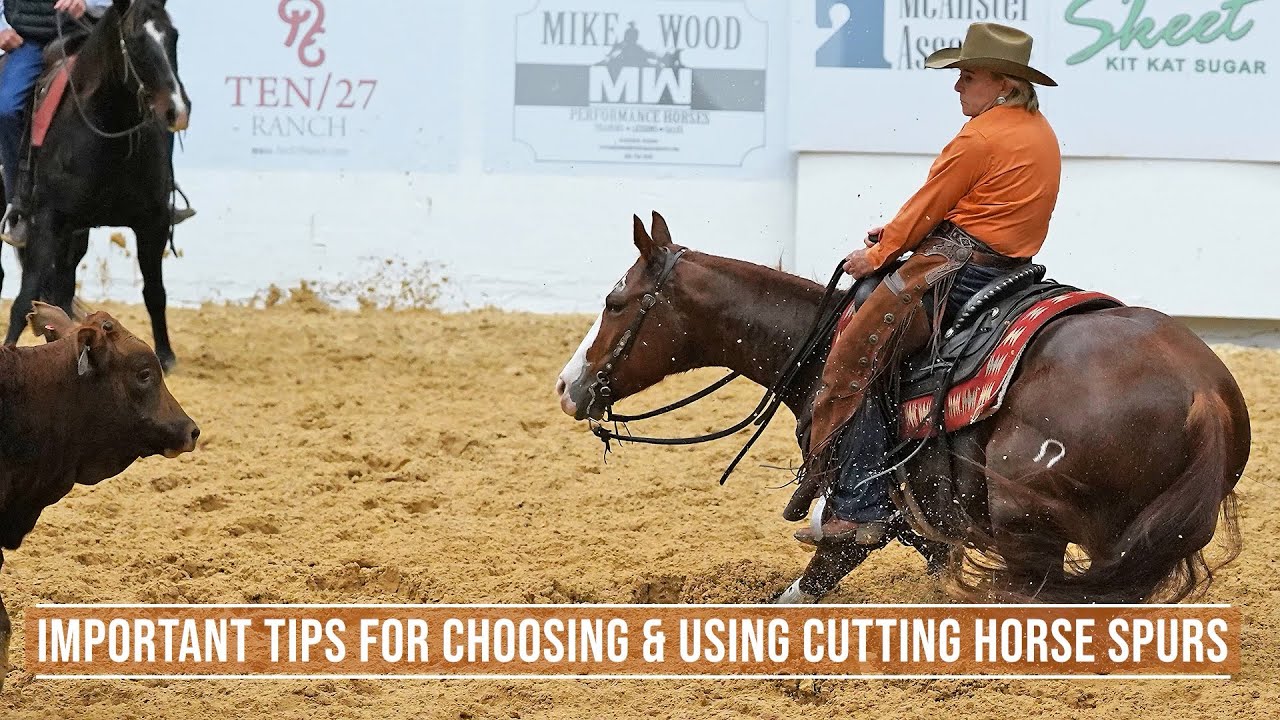 Important Tips for Choosing & Using Cutting Horse Spurs