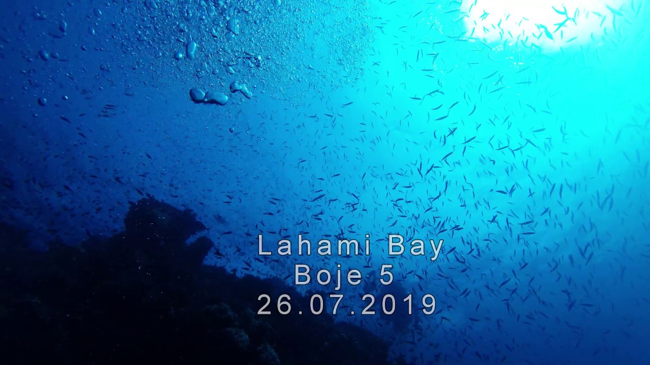 Boje5 Lahami Bay