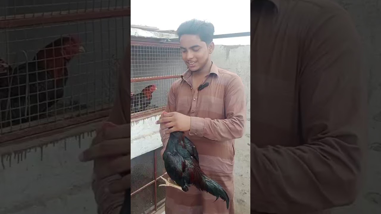 Rana Abdullah ka shok multan,,  plz sub my chanel,,