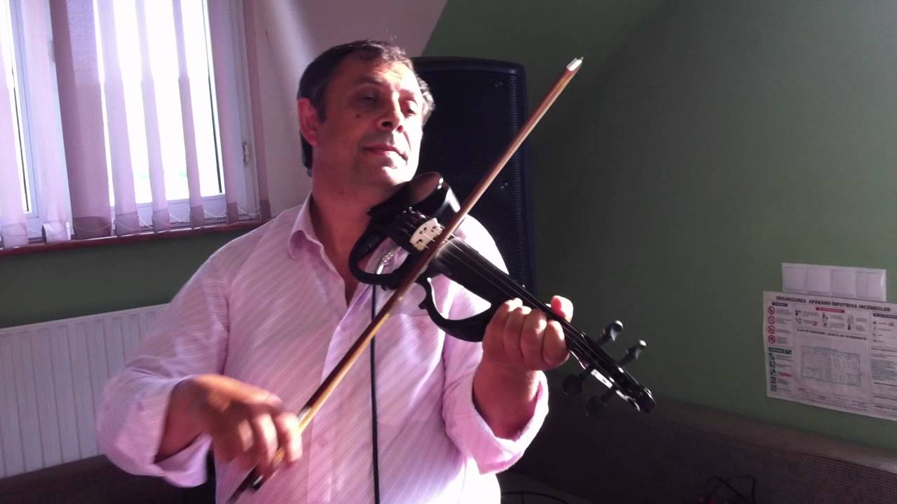 Petre Haraga de la simleu silvaniei