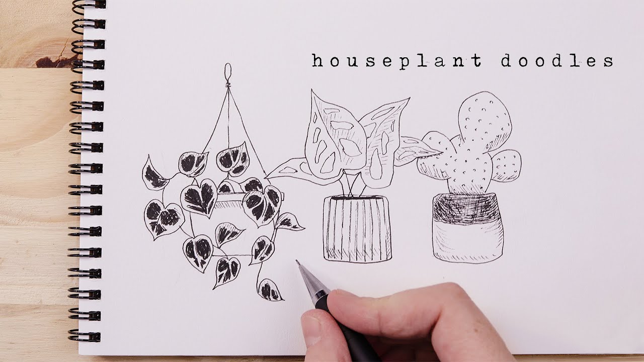 Every Plant You Need To Know | How To Doodle Houseplants