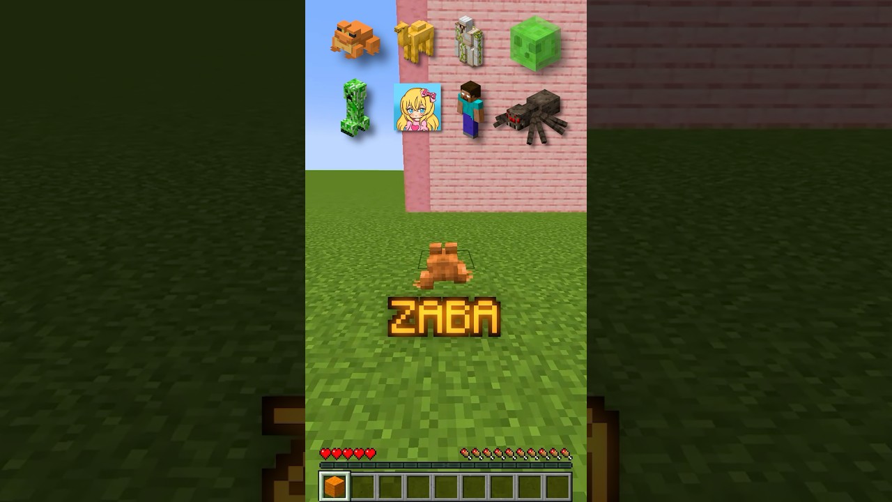 SVAKI MOB VS VISINA U MINECRAFTU!