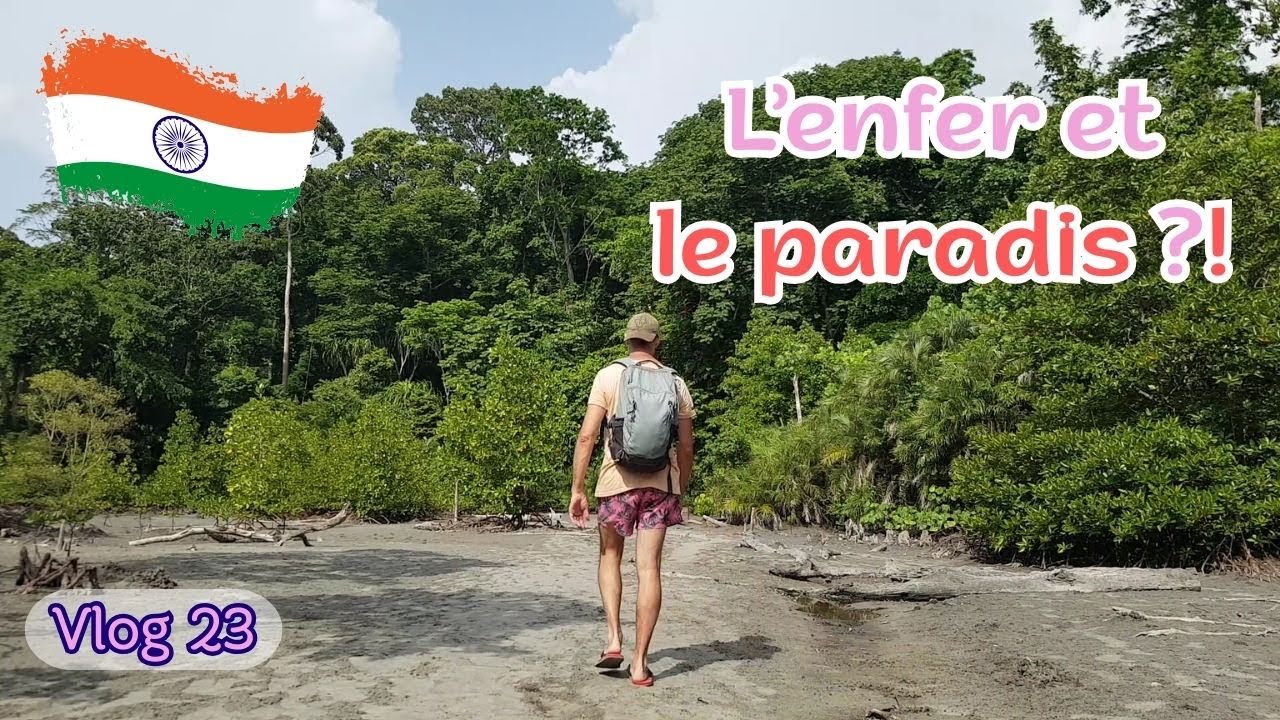 JUNGLE,BOUE,SERPENT,MANGROVE,PARADIS!! Inde | Vlog 23 |