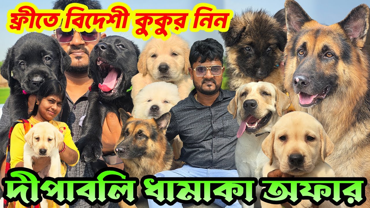 Biggest German Shepherd Kennel in West Bengal । Home Breed Puppies Sell । Dog Market in Kolkata