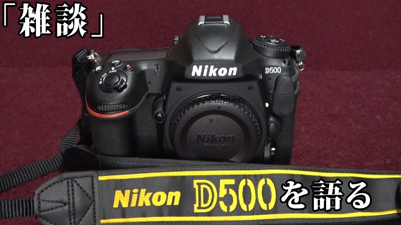 【カメラ雑談#02】愛機Nikon D500について語る