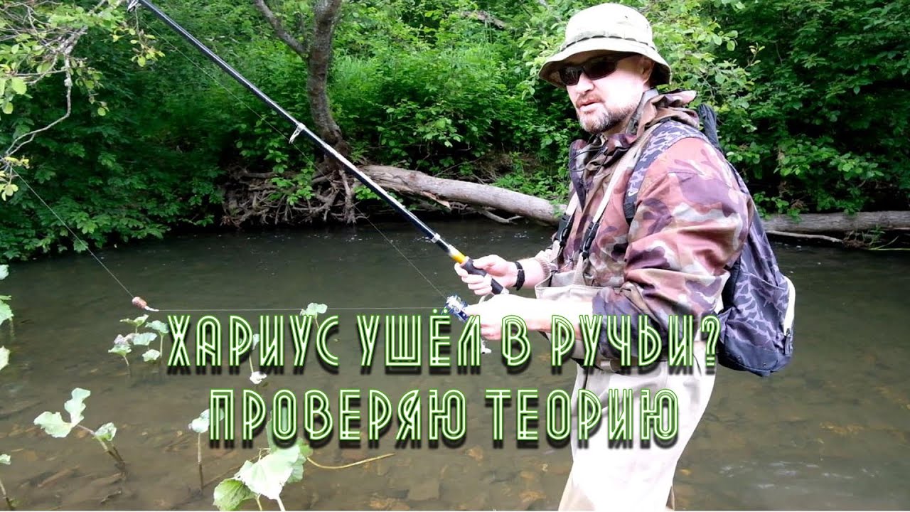Хариус ушёл в ручьи? Проверяем теорию...