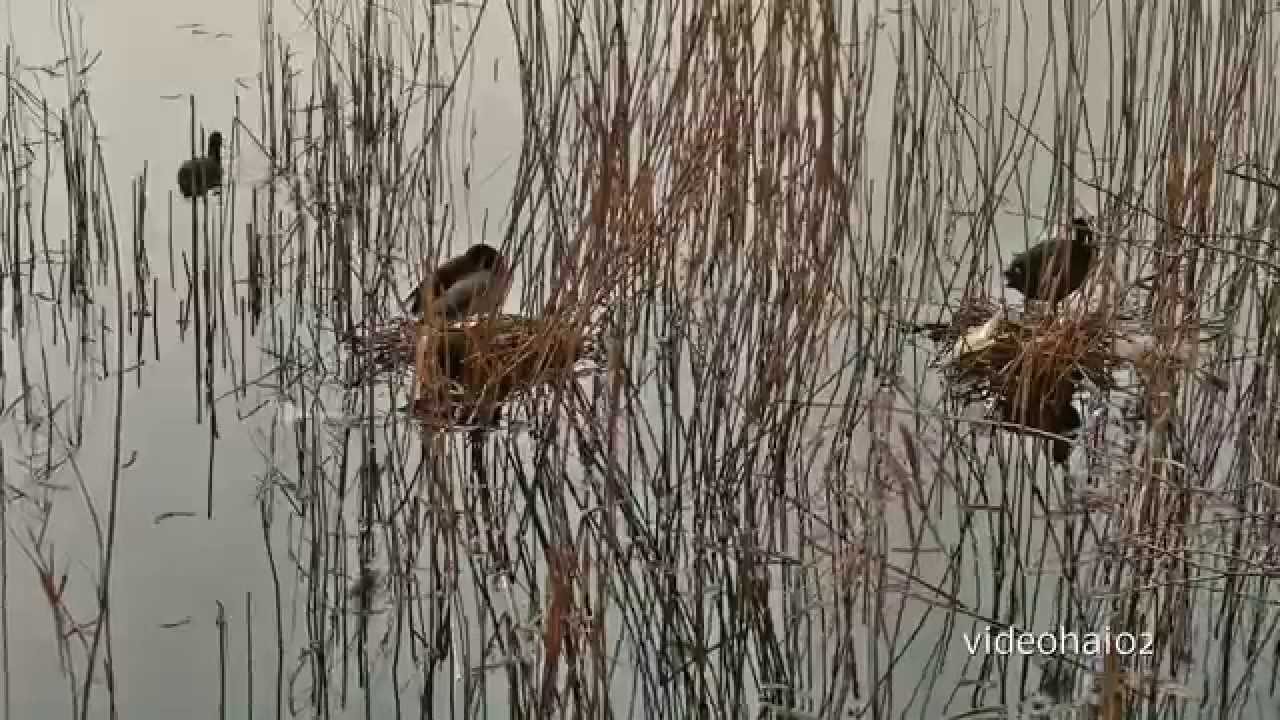 Berlin Weissensee ;der Weissenseer See