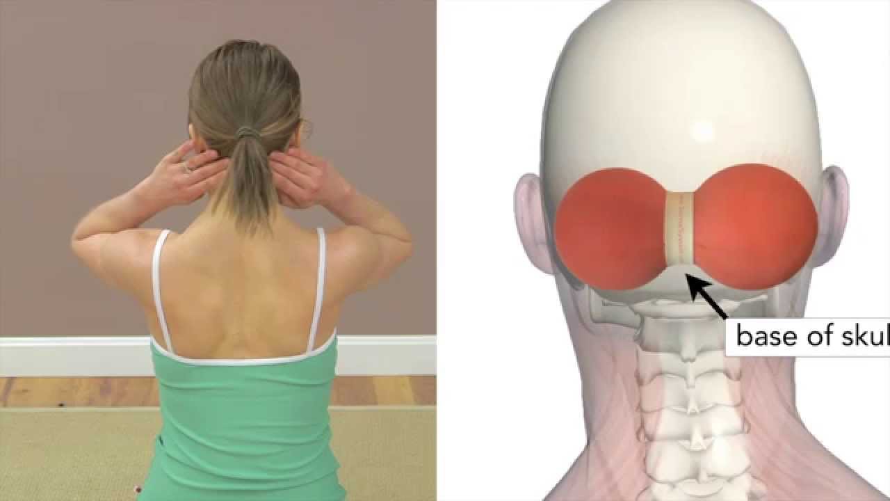Self Myofascial Release: Head and Neck