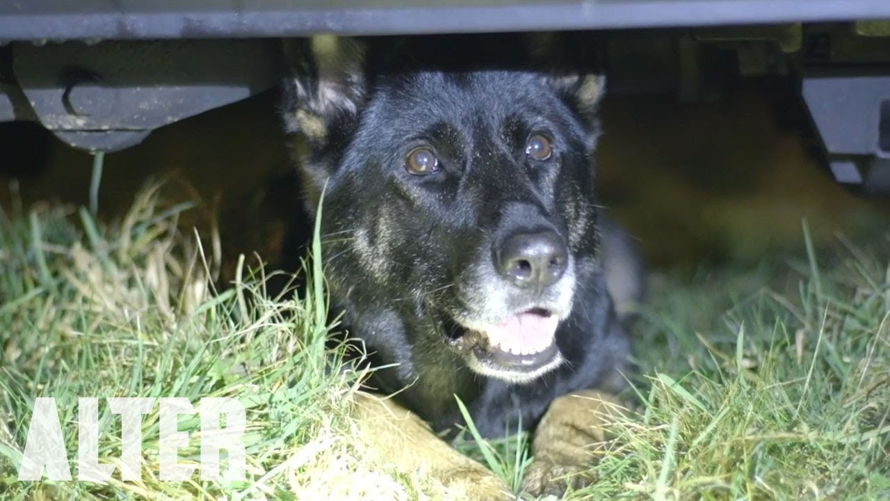 Horror Short Film &ldquo;Oscar's Bell&rdquo; | ALTER